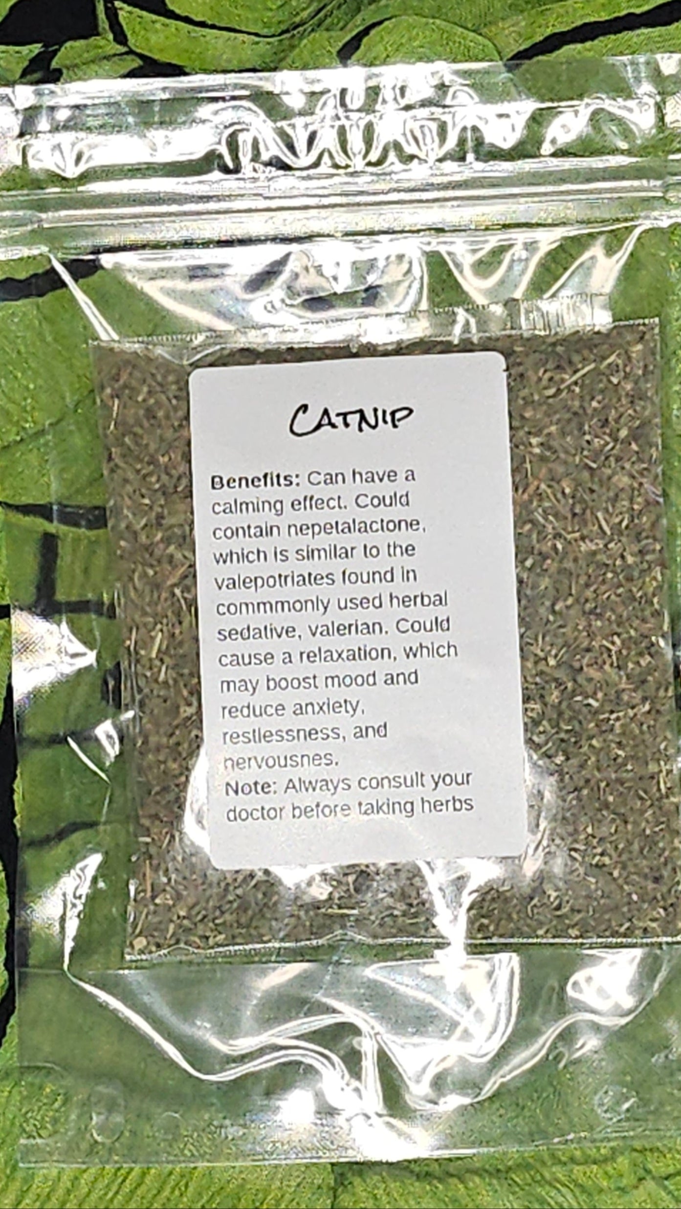 Catnip